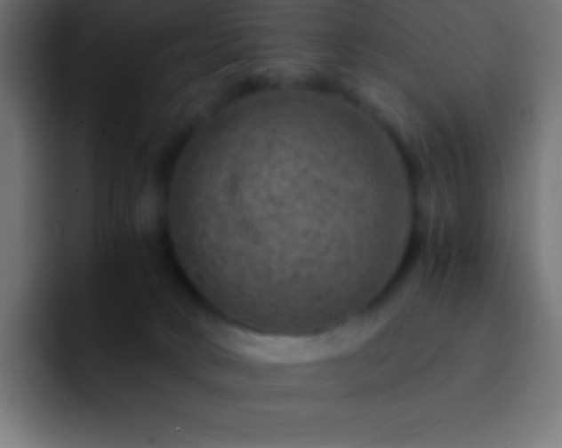 X0000093100034200710031838