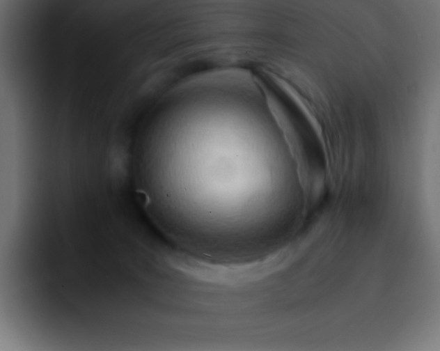 X0000093100035200710031838