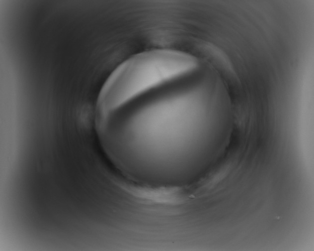 X0000093100036200710031838