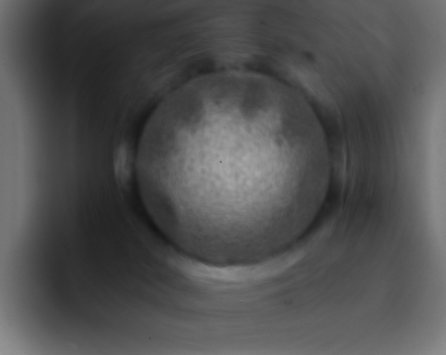 X0000093100038200710031838