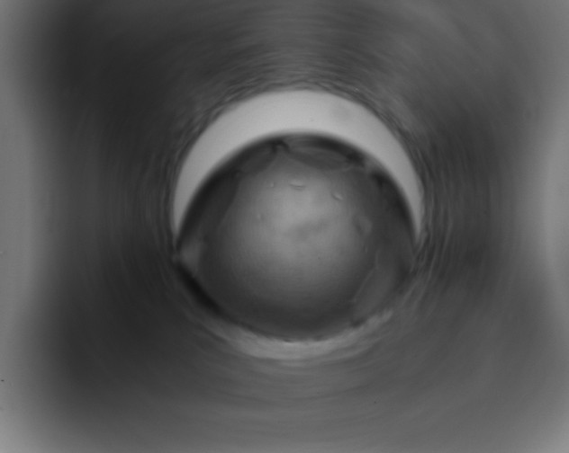 X0000093100039200710031838