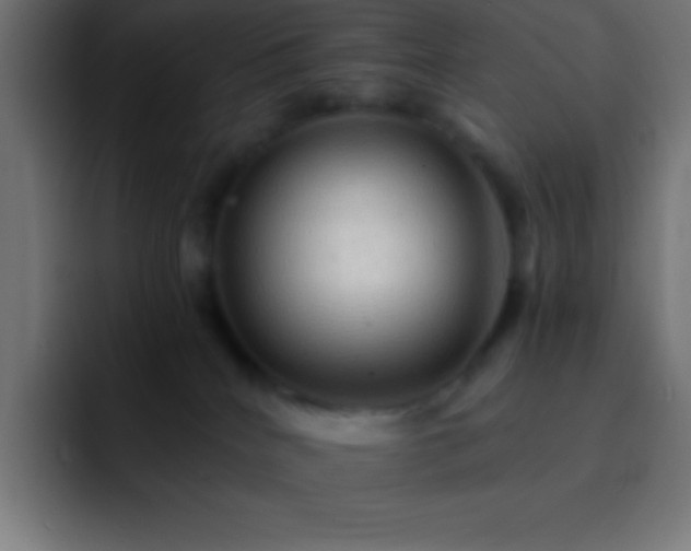 X0000093100040200710031838