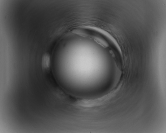 X0000093100041200710031837