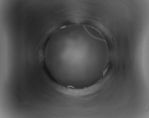 X0000093100043200710031837