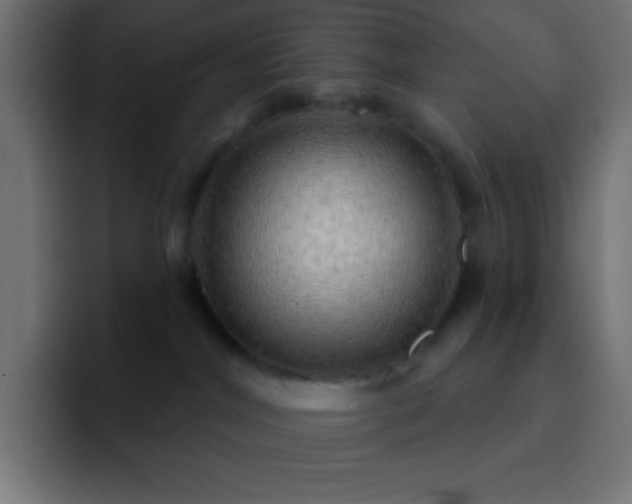 X0000093100044200710031837