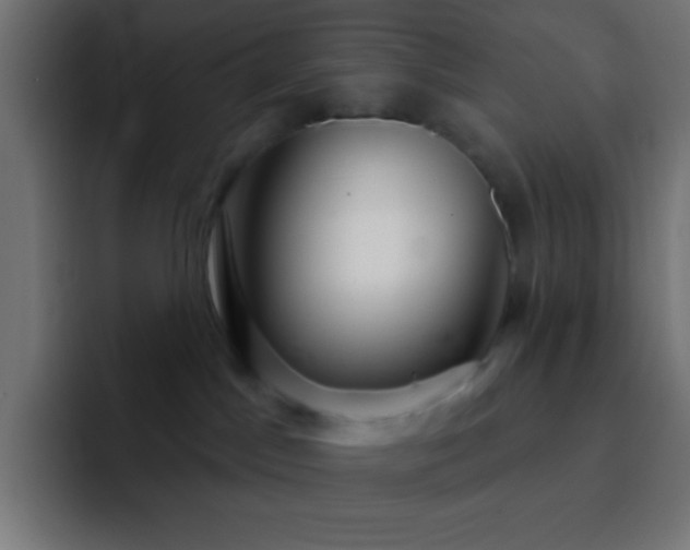 X0000093100045200710031837