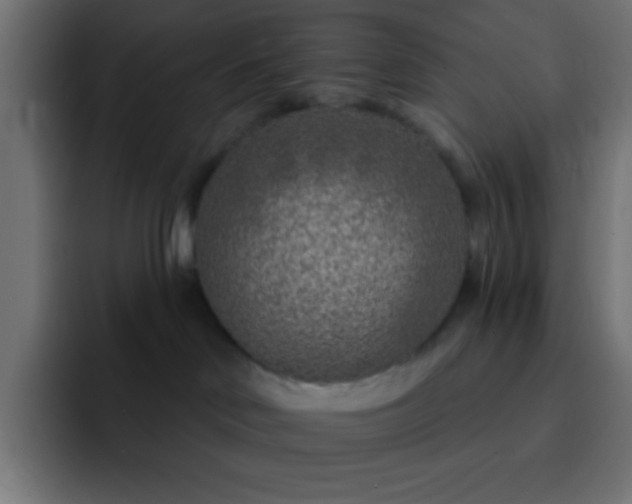 X0000093100046200710031837