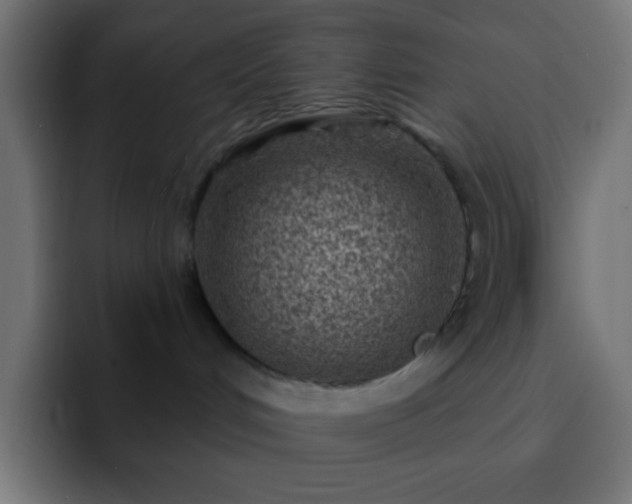 X0000093100048200710031837
