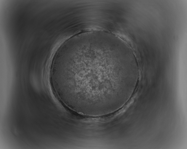X0000093100049200710031837