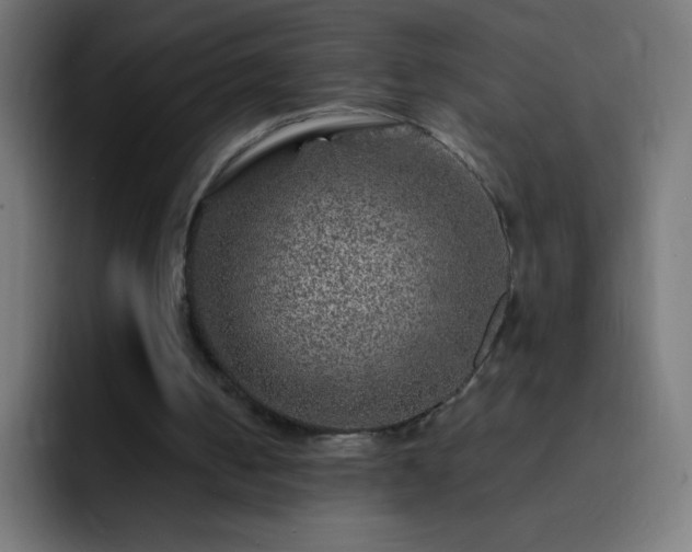 X0000093100050200710031837