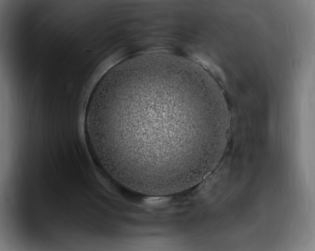 X0000093100051200710031837