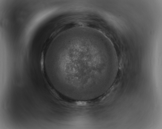 X0000093100052200710031837