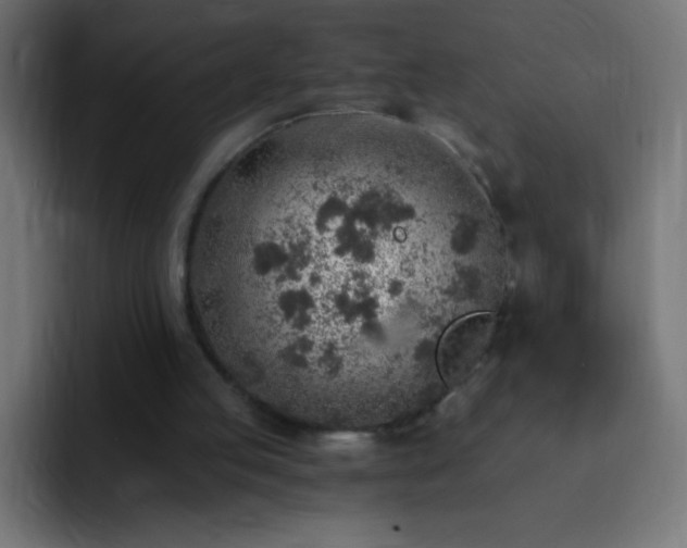 X0000093100053200710031837