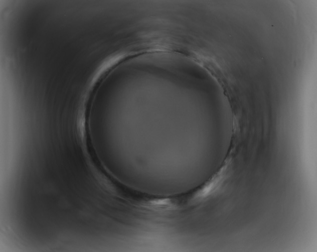 X0000093100054200710031837