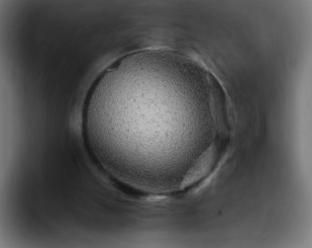 X0000093100055200710031837
