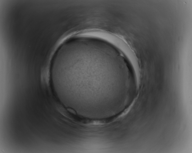 X0000093100056200710031837