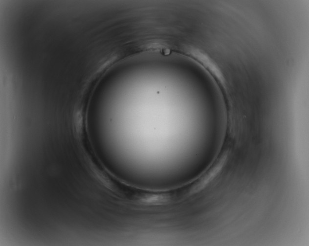 X0000093100057200710031837