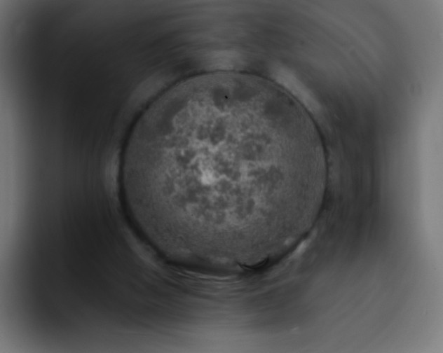 X0000093100058200710031837
