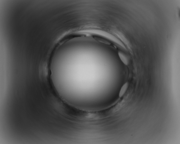 X0000093100060200710031837
