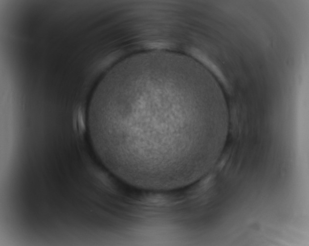 X0000093100062200710031837