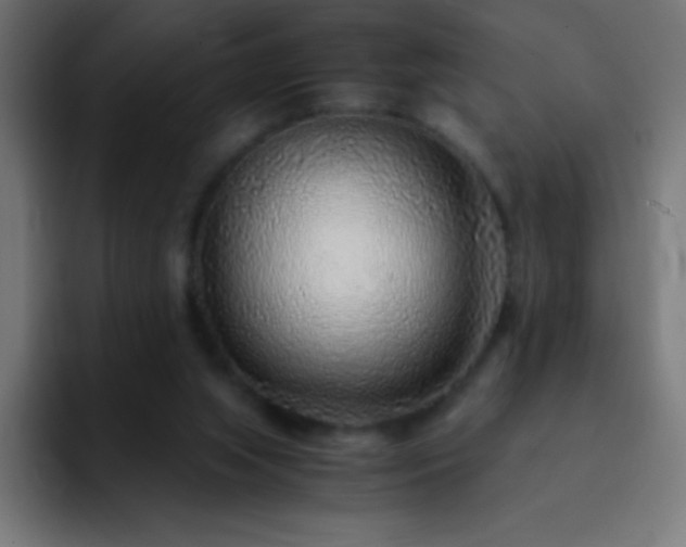 X0000093100063200710031837