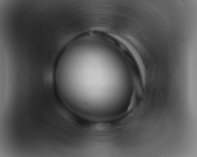 X0000093100064200710031837