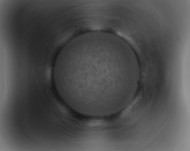 X0000093100066200710031837