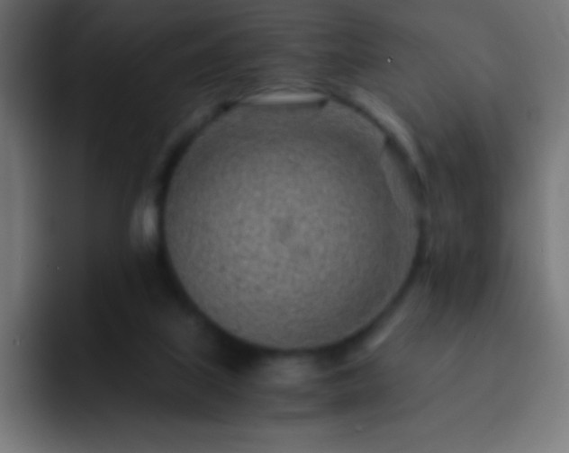 X0000093100067200710031837