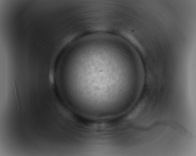 X0000093100068200710031837