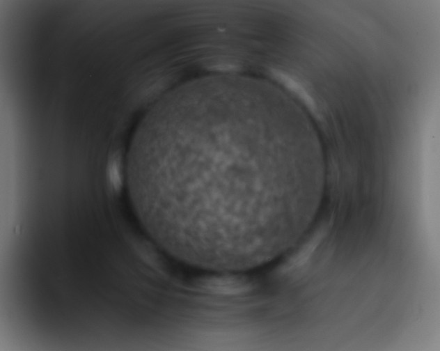 X0000093100069200710031837