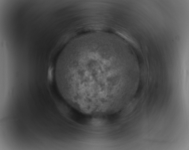 X0000093100070200710031837