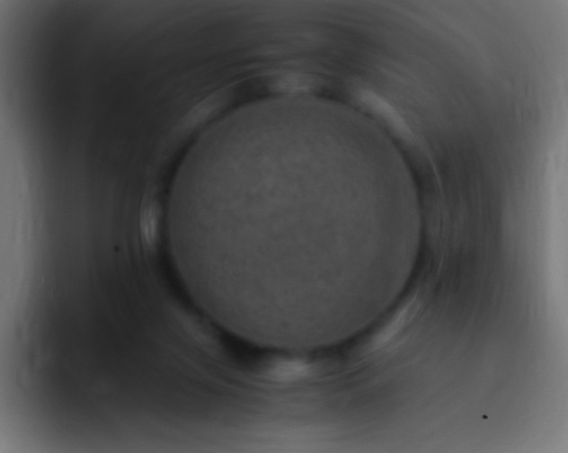 X0000093100071200710031837