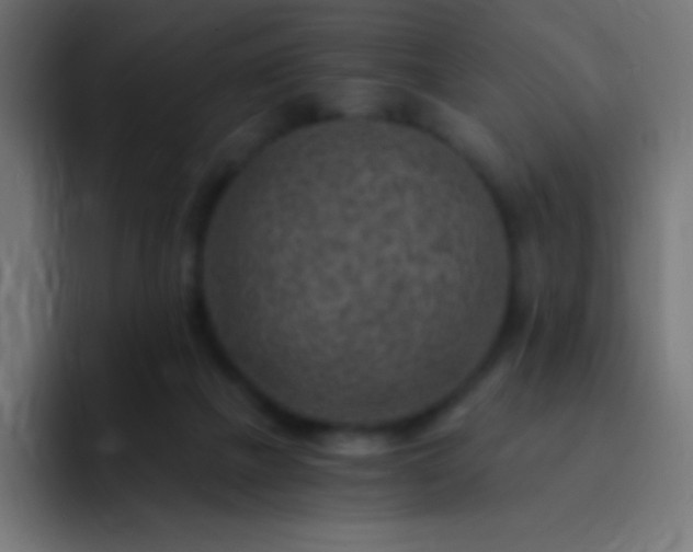 X0000093100073200710031837
