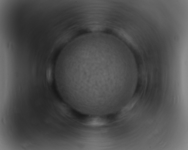 X0000093100074200710031837