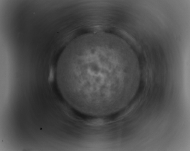 X0000093100075200710031837
