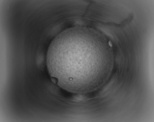 X0000093100079200710031837