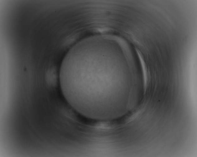 X0000093100080200710031837