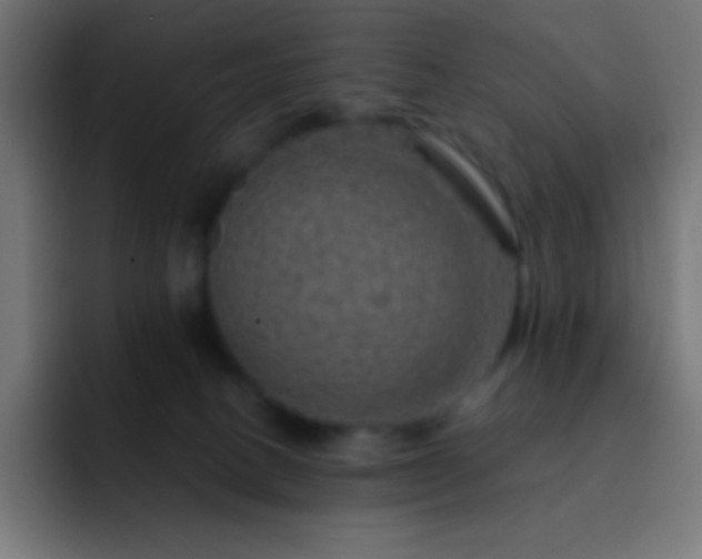 X0000093100082200710031837