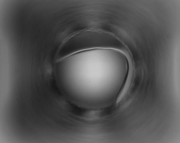 X0000093100084200710031837