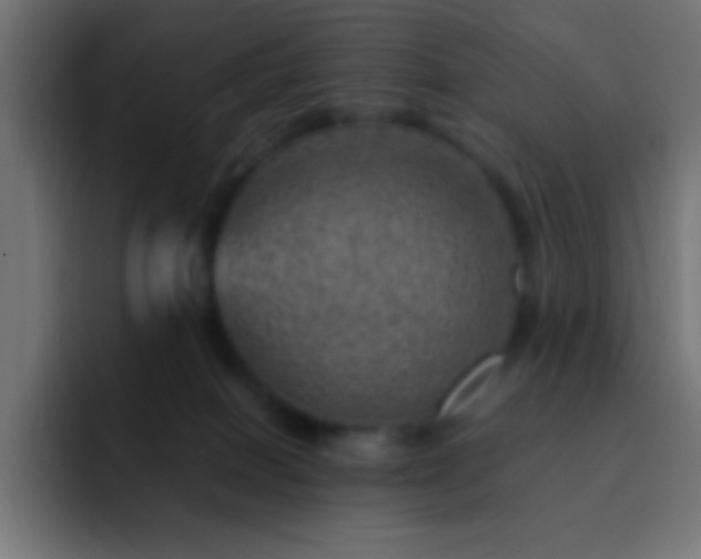 X0000093100086200710031837