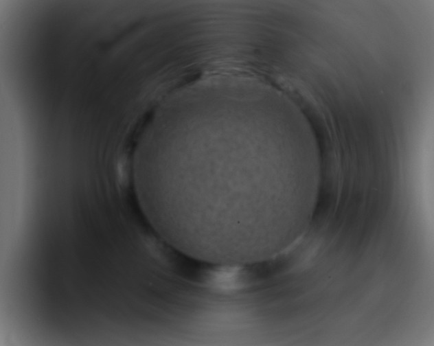 X0000093100090200710031837