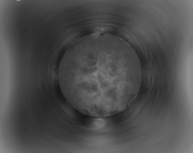 X0000093100091200710031837
