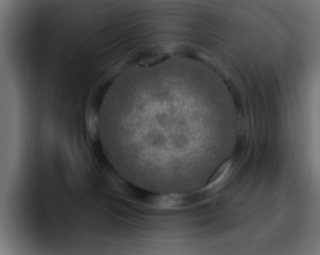 X0000093100094200710031837