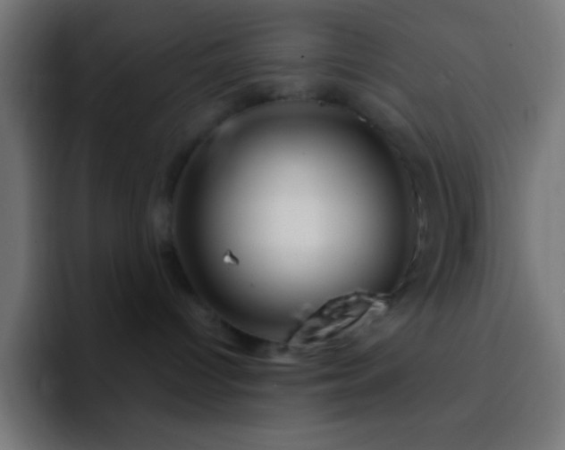 X0000093100096200710031837