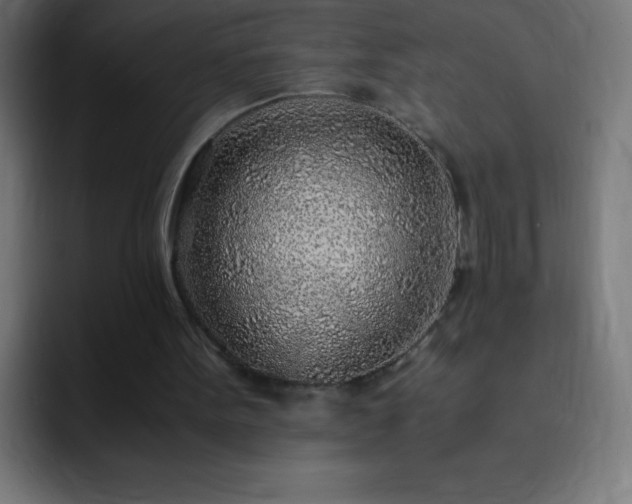 X0000093100099200710031837