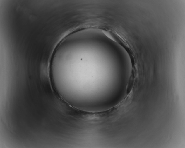 X0000093100100200710031837