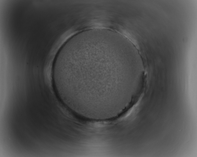X0000093100103200710031837