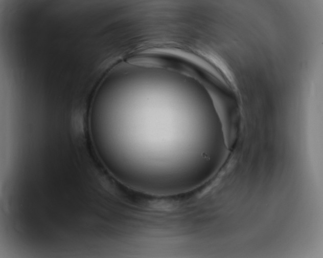 X0000093100105200710031837