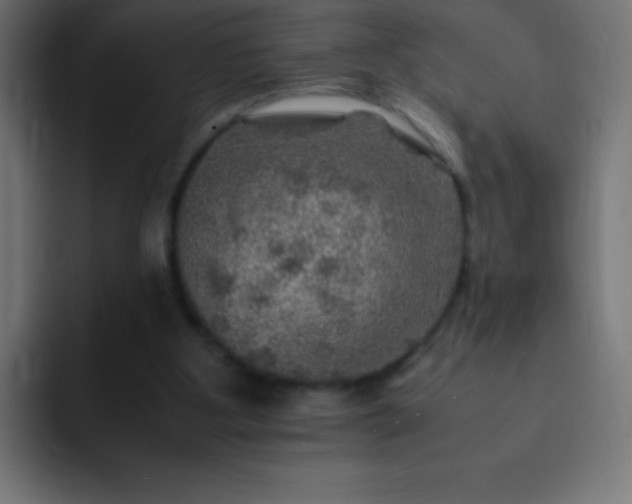 X0000093100107200710031837