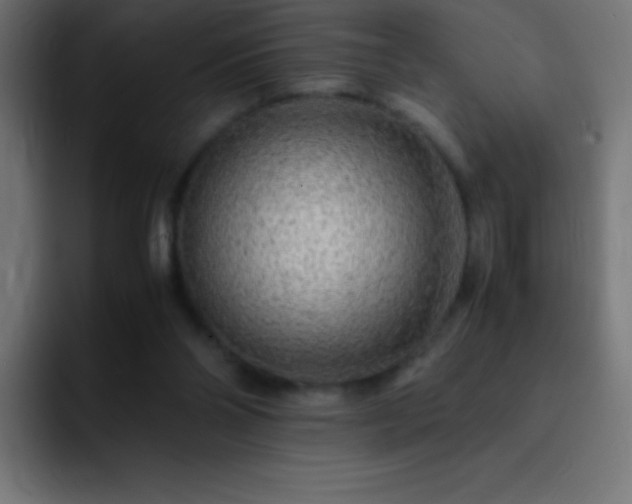 X0000093100110200710031837